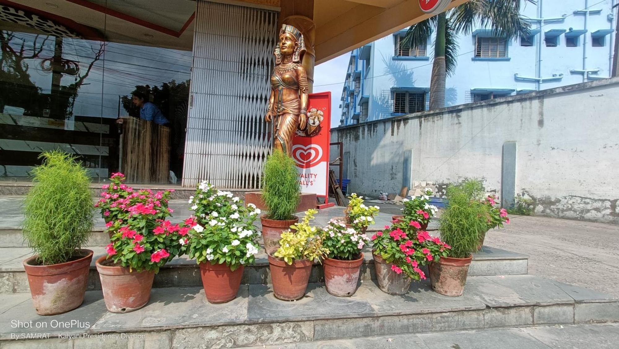 Trisplanet Hotel Kalyani ภายนอก รูปภาพ